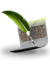 ��͹