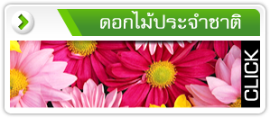ดอกไม้ประจําชาติอาเซียน 10 ประเทศ มีอะไรบ้าง...มาดูกัน