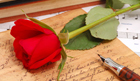 15 คำคมภาษาอังกฤษโดน ๆ สำหรับวันวาเลนไทน์